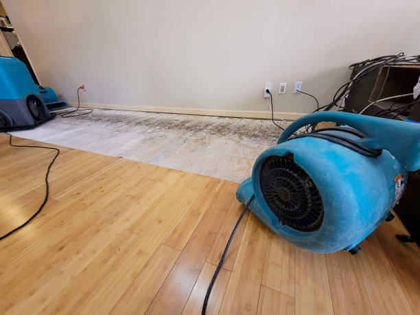 Reliable Basement Flood Cleanup contractor in Durham, CA by Hirex Water Damage