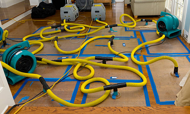Professional Basement Flood Cleanup technician working in Durham, CA